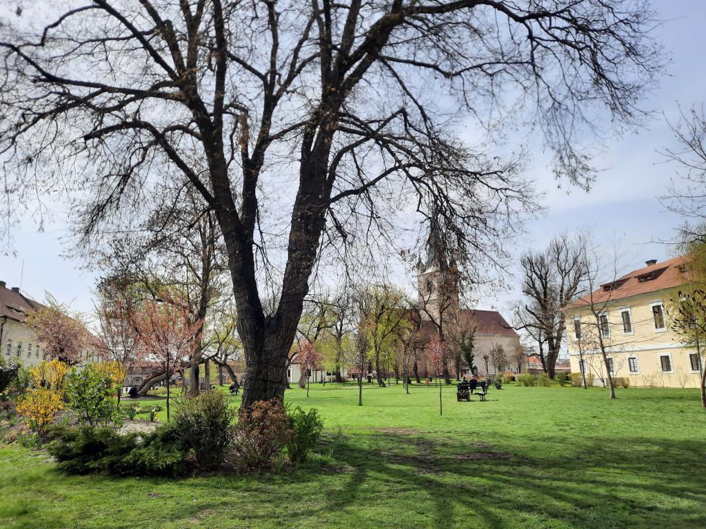 Cetatea Medievala din Targu-Mures