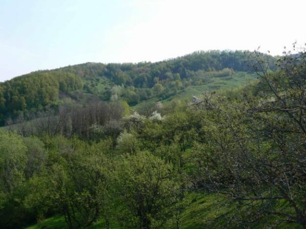 Valenii de Munte