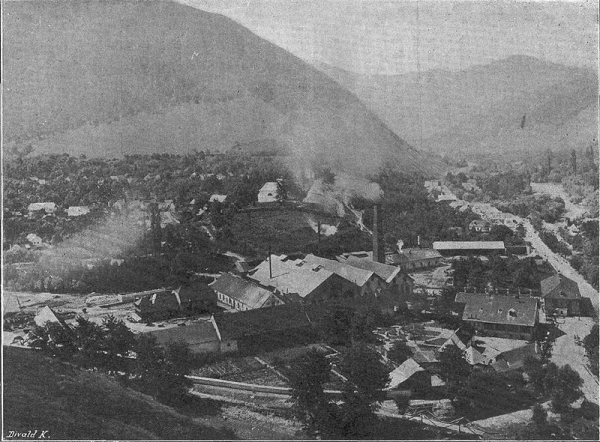 Ruinele Cetatii Cugir