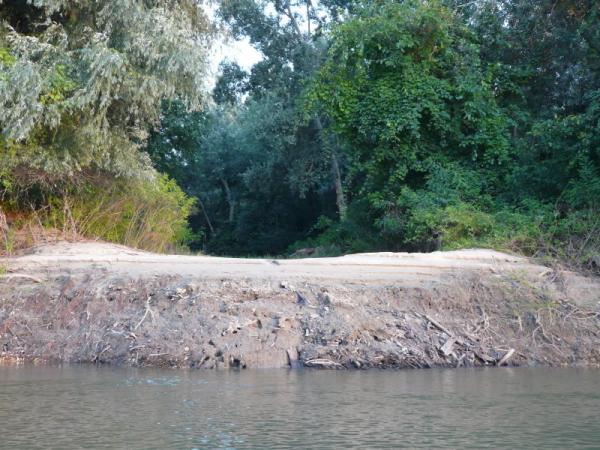 Insula Mocanu