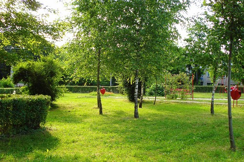Parcul Trandafirilor din Targu-Mures
