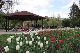 Parcul Central Nicolae Titulescu