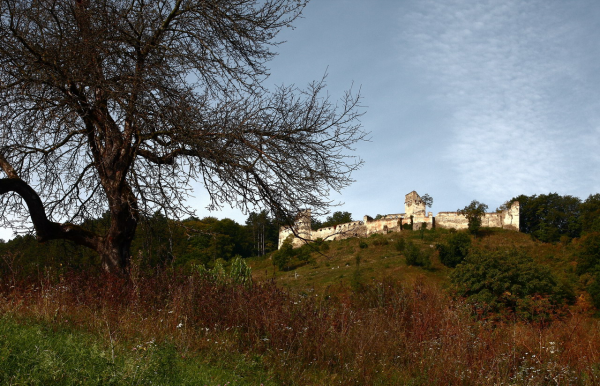 Cetatea taraneasca din Saschiz
