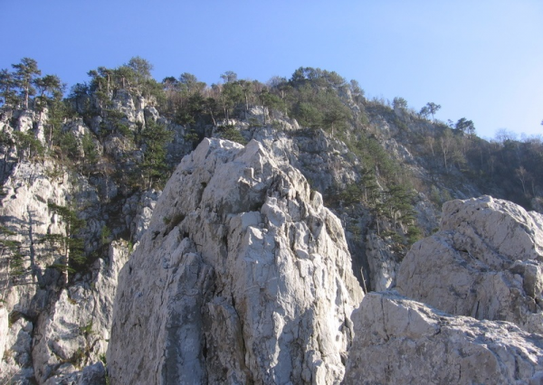 Cheile Tasnei