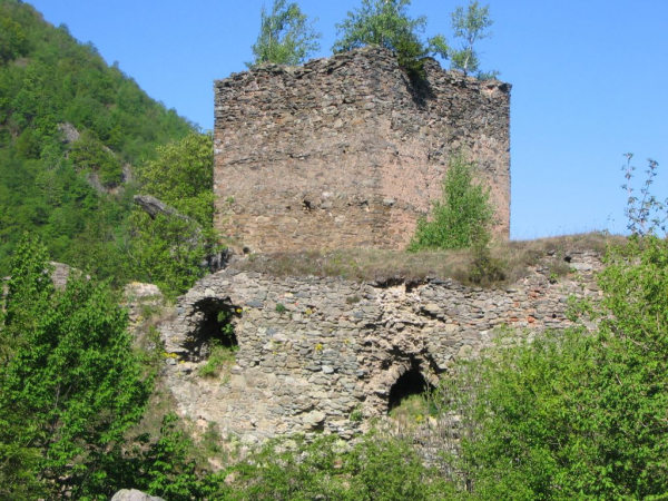 Cetatea Colt