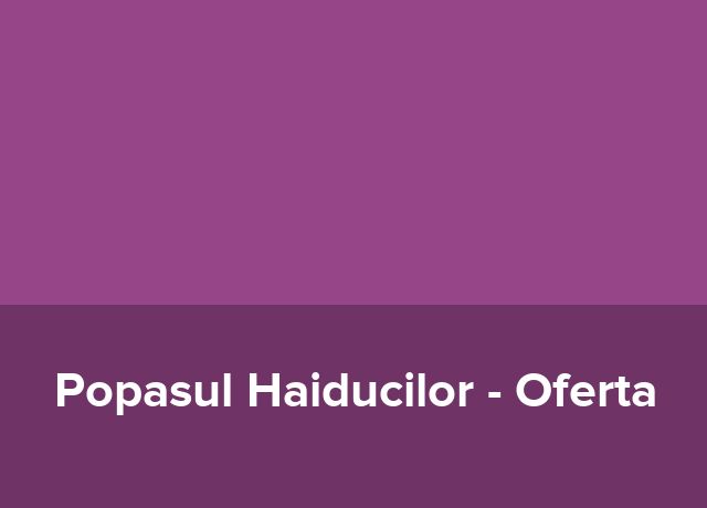 Oferta Zilele Orasului