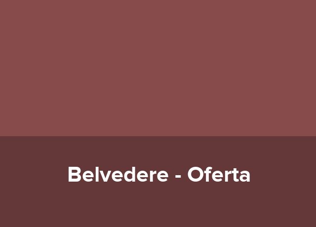 Oferta Zilele Orasului