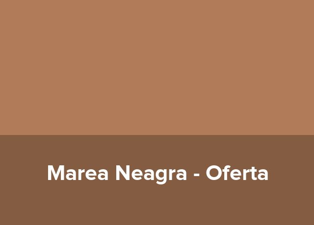 Oferta Craciun 2026