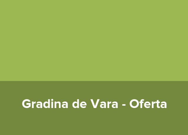 Alte oferte