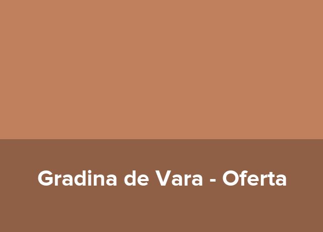 Oferta Litoral pentru toti