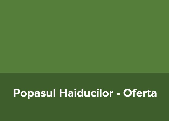 Oferta Team Building