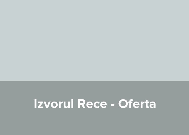 Oferta Craciun 2026
