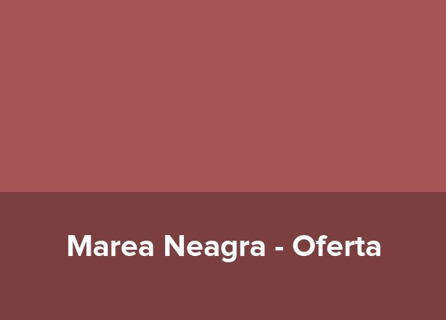 Oferta Festivaluri Muzicale