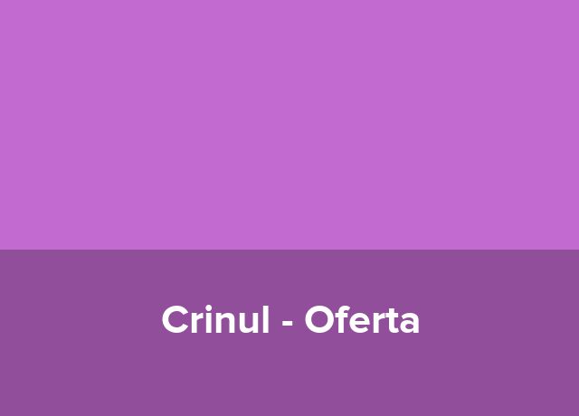 Oferta Last Minute