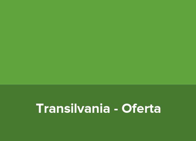 Oferta Craciun 2026