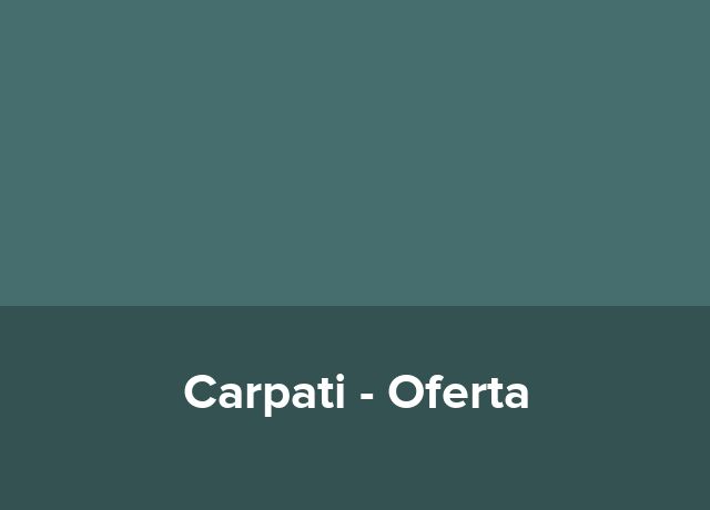 Oferta Business