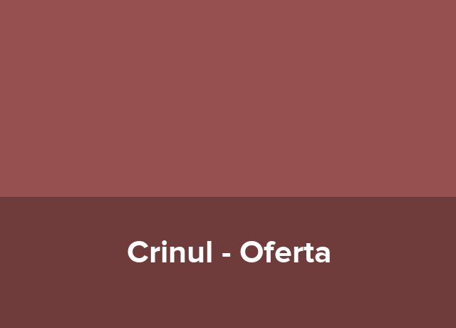 Oferta Last Minute