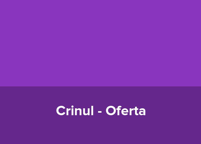 Oferta Neversea
