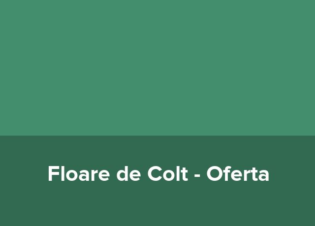 Oferta Sporturi Extreme