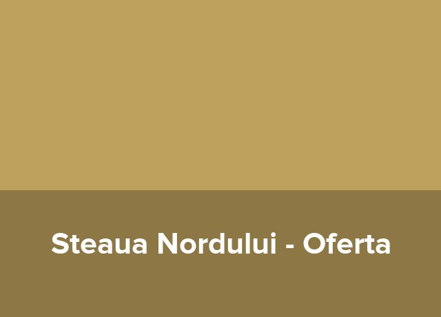 Oferta Festivaluri Muzicale