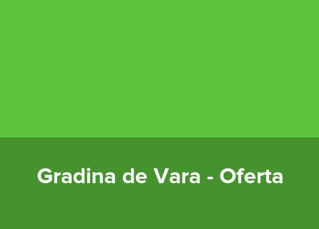Oferta pentru Grupuri