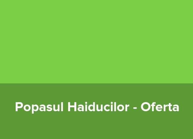 Oferta Luna de Miere