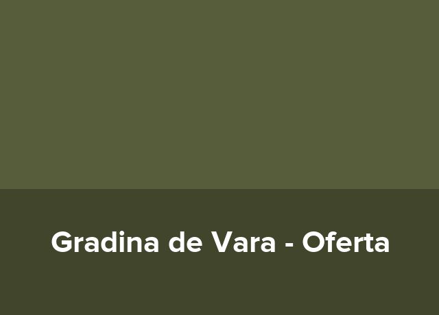 Oferta tratament balnear