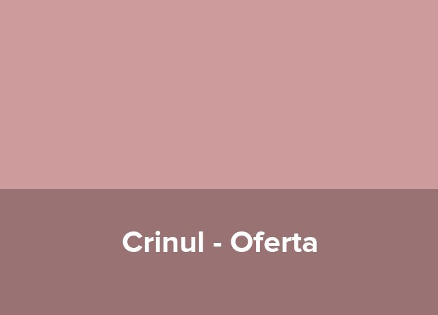 Oferta Business