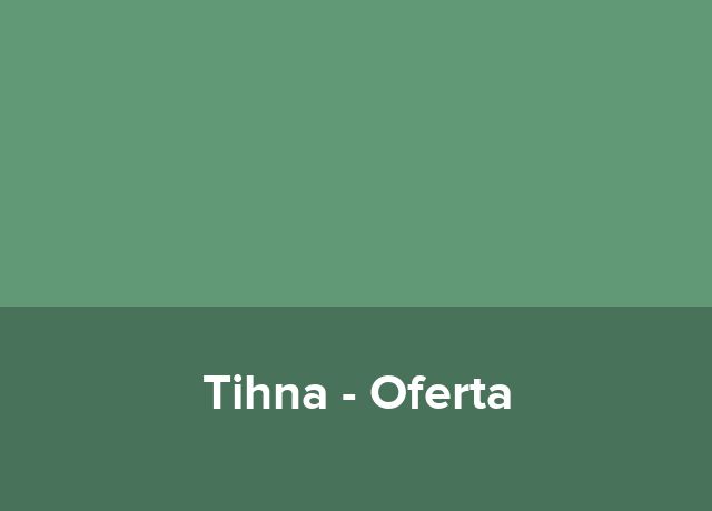 Oferta Team Building