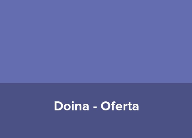 Oferta Festivaluri Muzicale