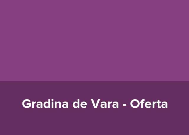 Oferta Valentines Day 2027