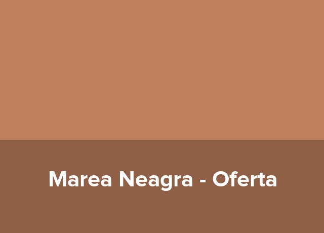 Oferta Zilele Orasului