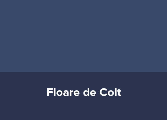 Camere de inchiriat Floare de Colt