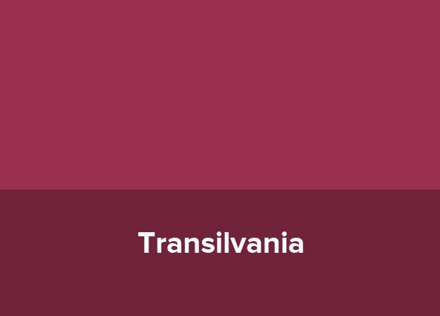 Bungalow Transilvania