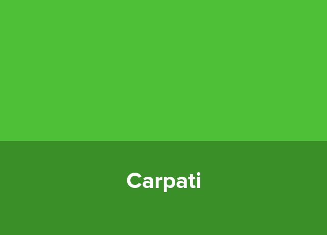 Minihotel Carpati