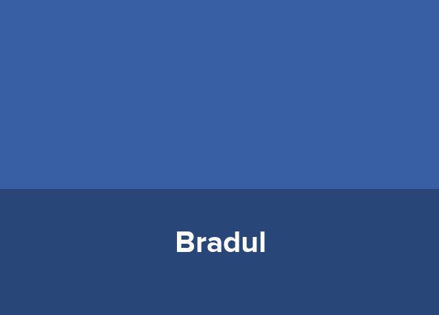 Cazare Bradul
