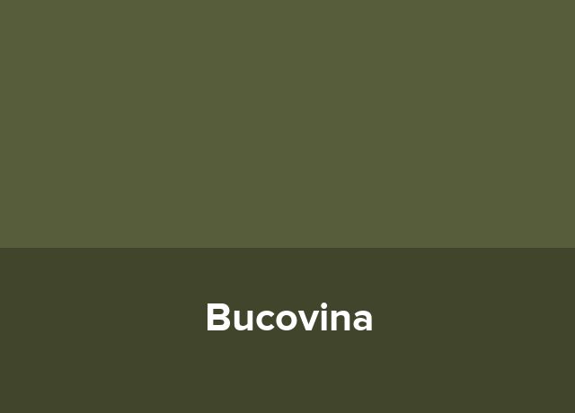 Cazare Bucovina