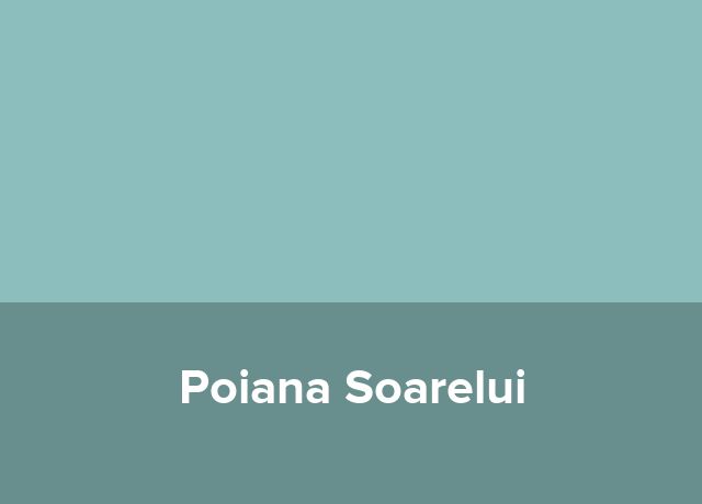 Sat de vacanta Poiana Soarelui