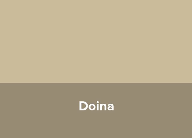Complex gospodaresc Doina