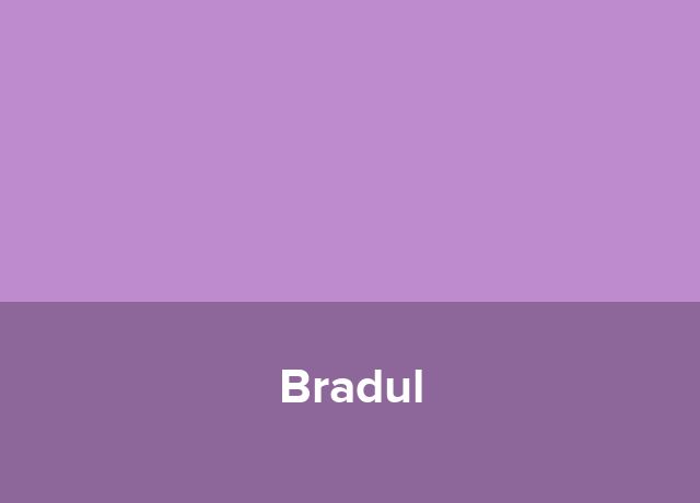 Casuta Bradul