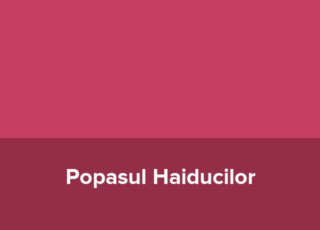 Nava fluviala Popasul Haiducilor