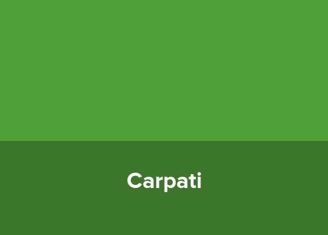 Cabana Carpati