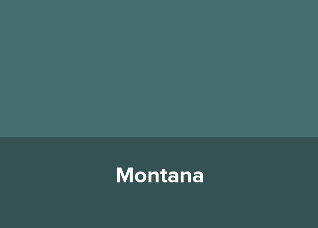 Popasul Montana