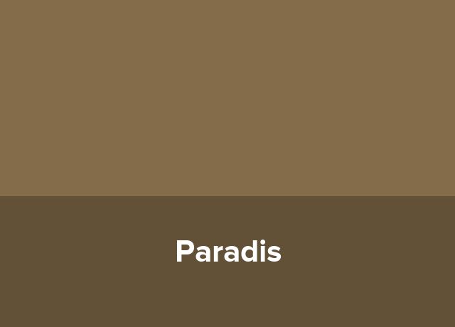 Bungalow Paradis