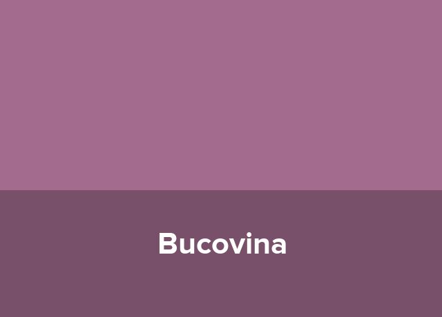 Casute Bucovina