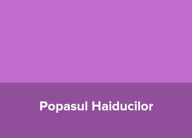 Casute Popasul Haiducilor