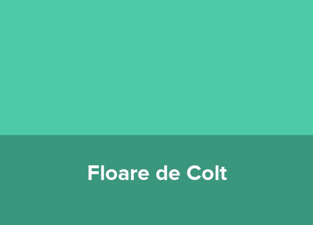 Vila Floare de Colt