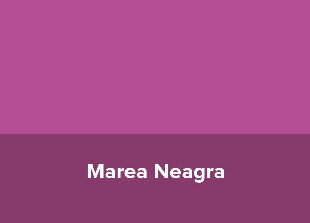 Hotel-apartament Marea Neagra