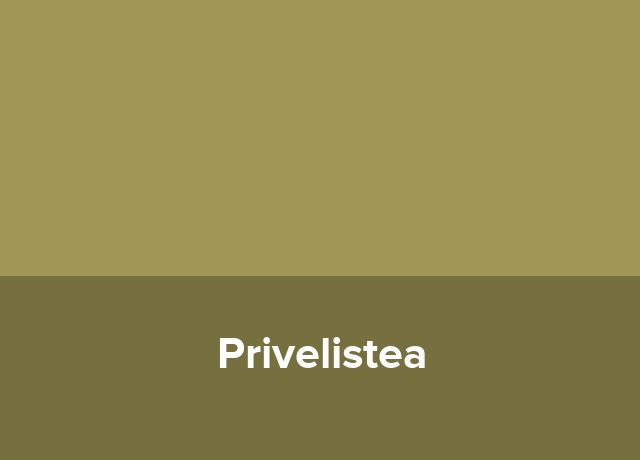 Complex gospodaresc Privelistea