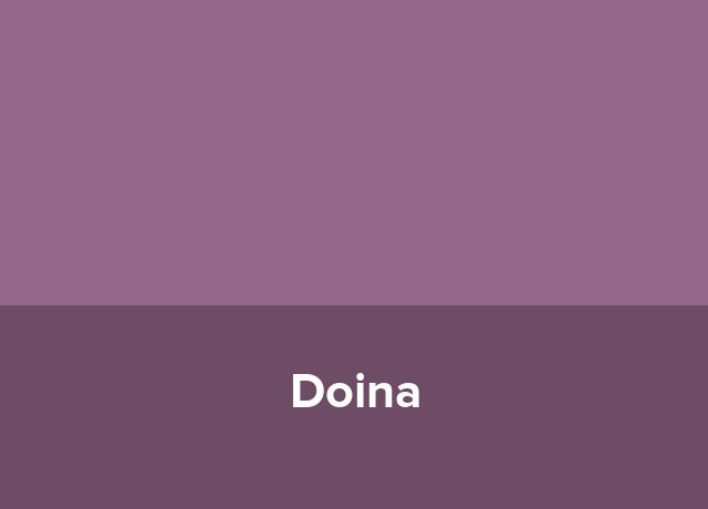 Penthouse Doina